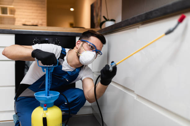 Best Residential Pest Control  in Los Ranchos De Albuquerque, NM