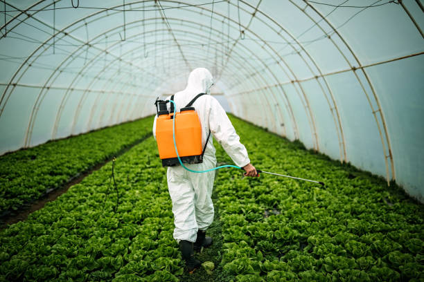  Los Ranchos De Albuquerque, NM Pest Control Pros