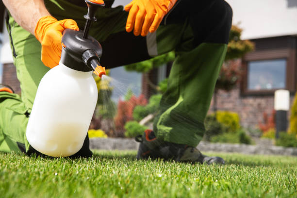 Best Insect Control  in Los Ranchos De Albuquerque, NM