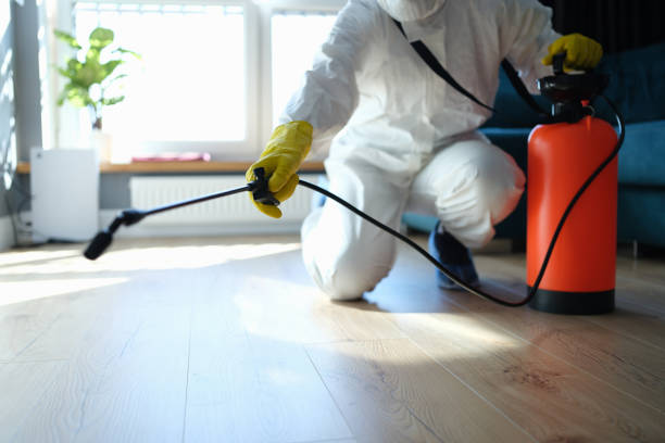 Professional Pest Control in Los Ranchos De Albuquerque, NM