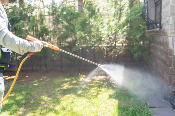 Best Pest Prevention Services  in Los Ranchos De Albuquerque, NM
