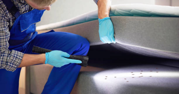 Best Pest Removal Services  in Los Ranchos De Albuquerque, NM