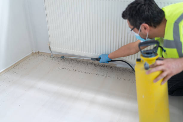 Best Best Pest Control Companies  in Los Ranchos De Albuquerque, NM