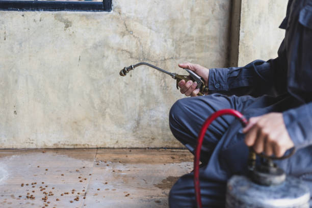 Best Residential Pest Control  in Los Ranchos De Albuquerque, NM